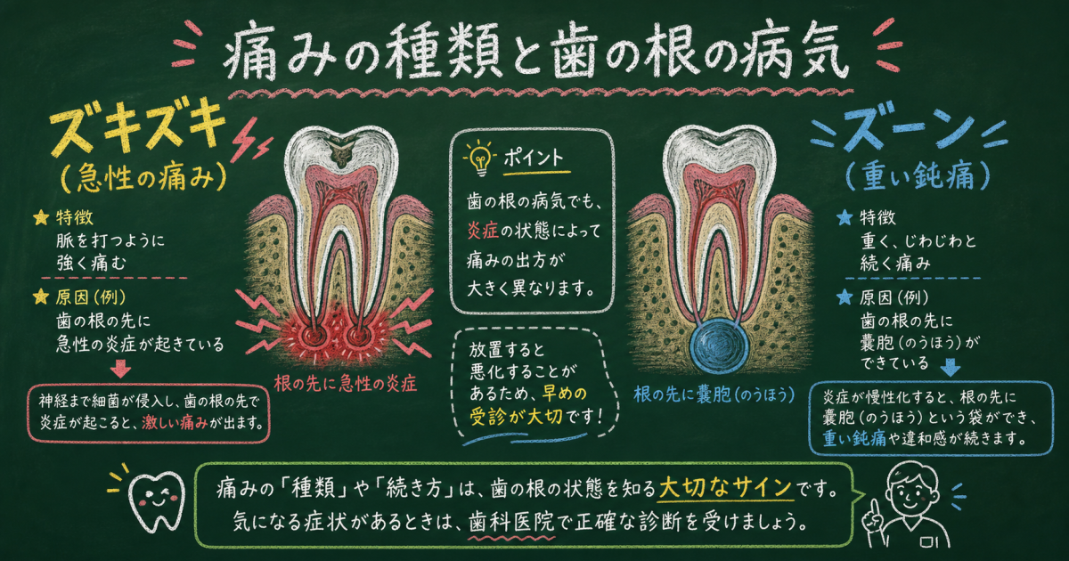 ■「ズキズキ」「ズーンと重い」痛みの種類で疑われる歯の根の疾患