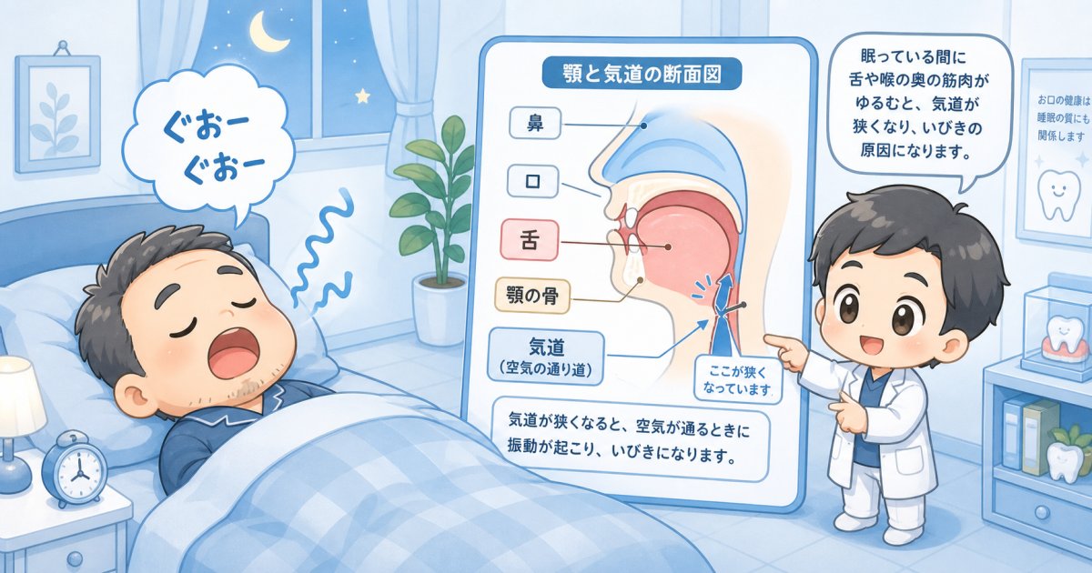 いびきや無呼吸は歯並びのせい？顎の小ささと気道が狭まる理由を解説